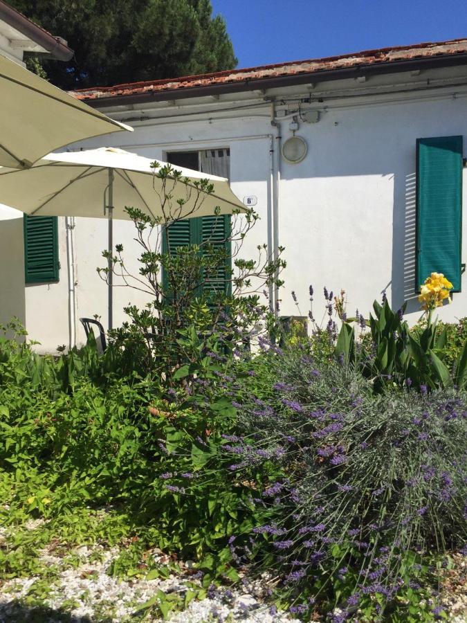 Appartamenti Gloria Marina Di Pisa Exteriér fotografie